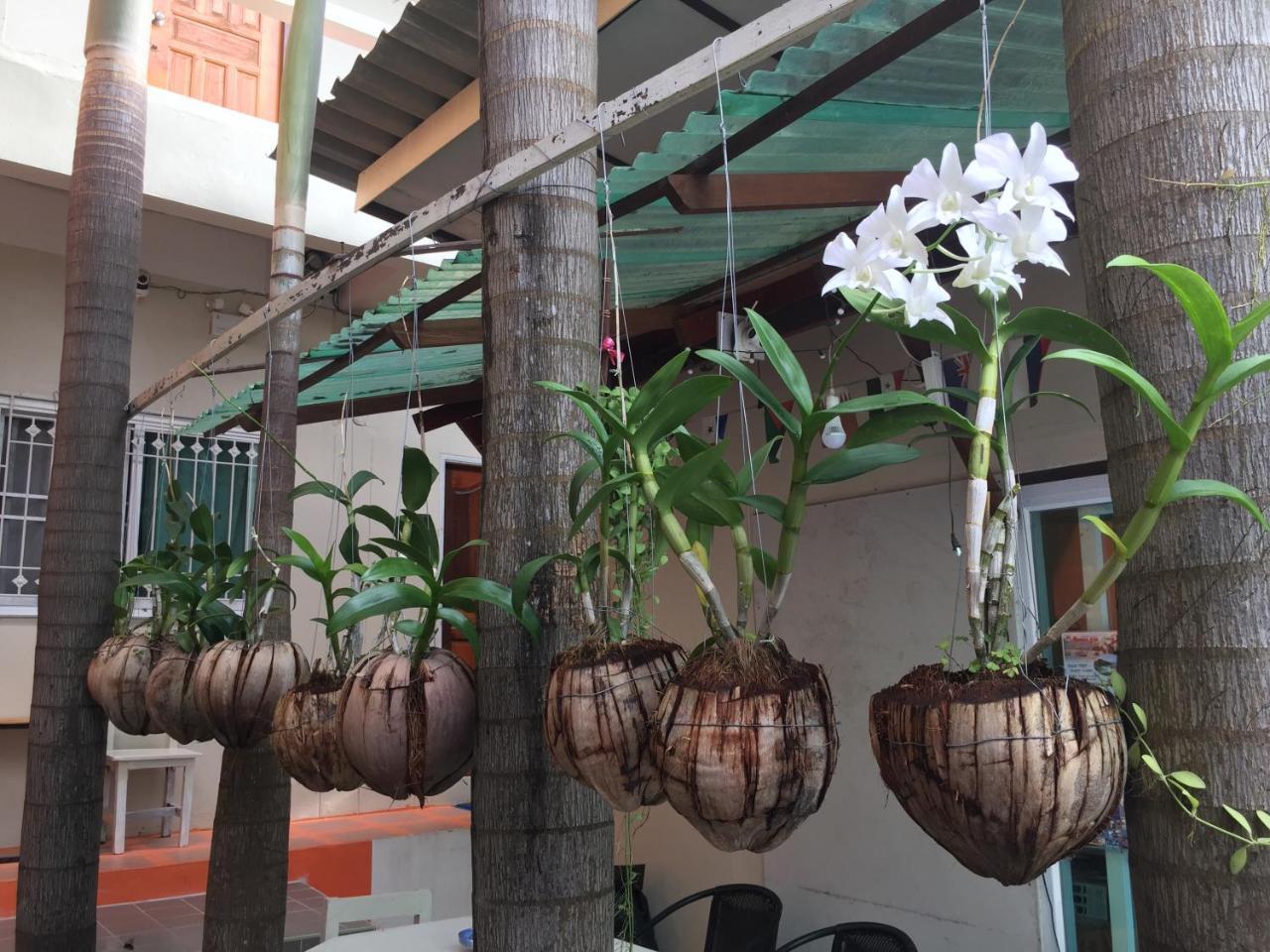 Sarin Guesthouse Ko Tao Exterior photo